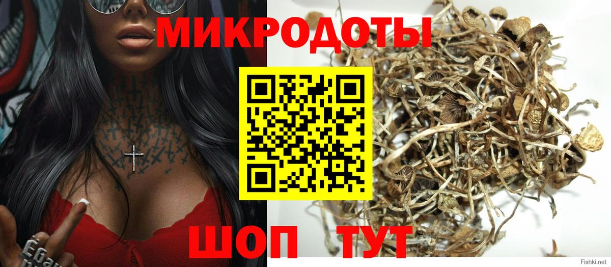 Псилоцибиновые грибы Psilocybe Дагестанские Огни