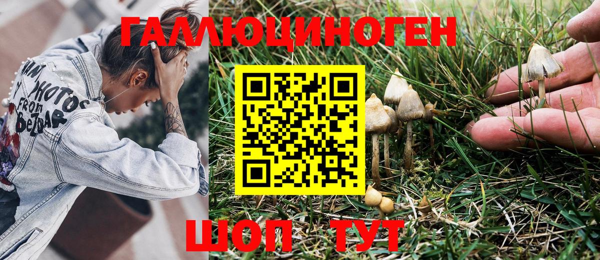 Галлюциногенные грибы мицелий  Галлюциногенные грибы прущие грибы  Дагестанские Огни 