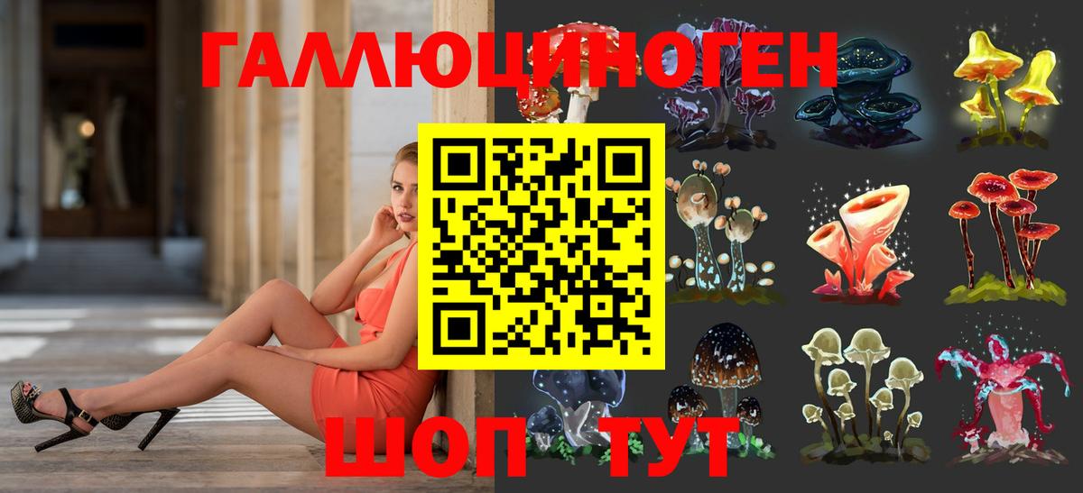 Галлюциногенные грибы мицелий Дагестанские Огни